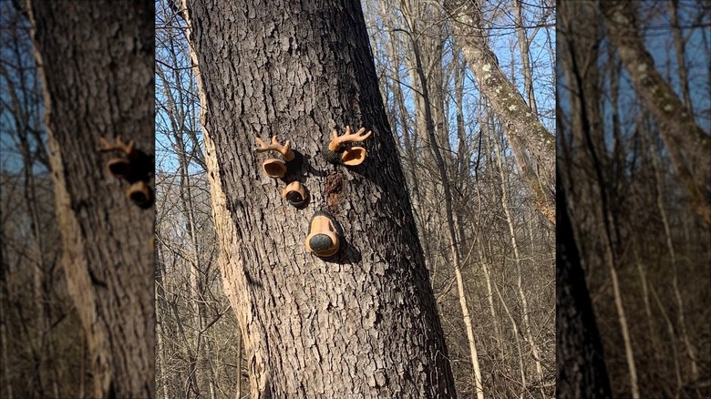 Find the Faces challenge at Wasatch Lake