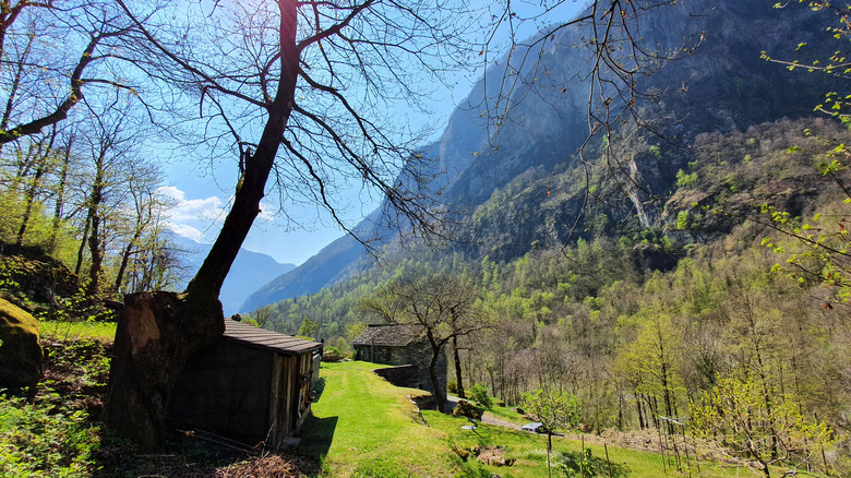 Vallemaggia Nature