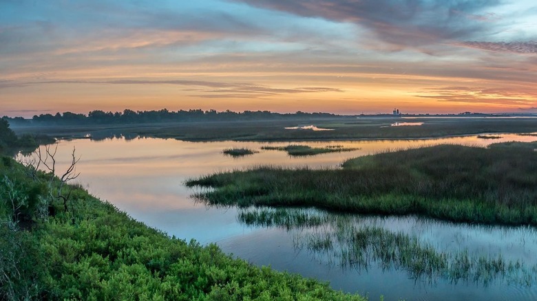 Sunrise from Spanish Pond Trail