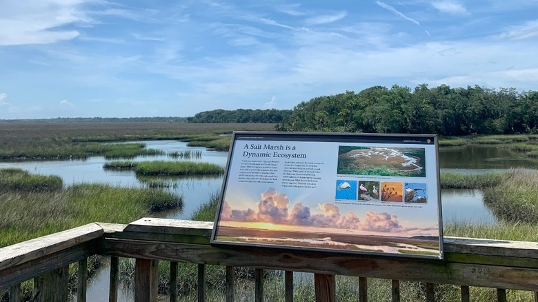 Viewing area on Spanish Pond Trail