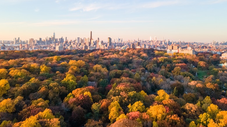 Prospect Park in the fall