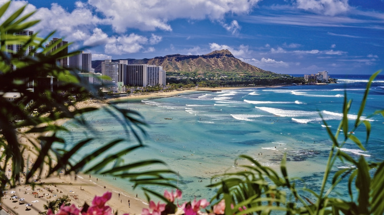 View through palm trees and flowers of Waikiki beach, coastal line, buildings, and Diamond Head mountain in the background.