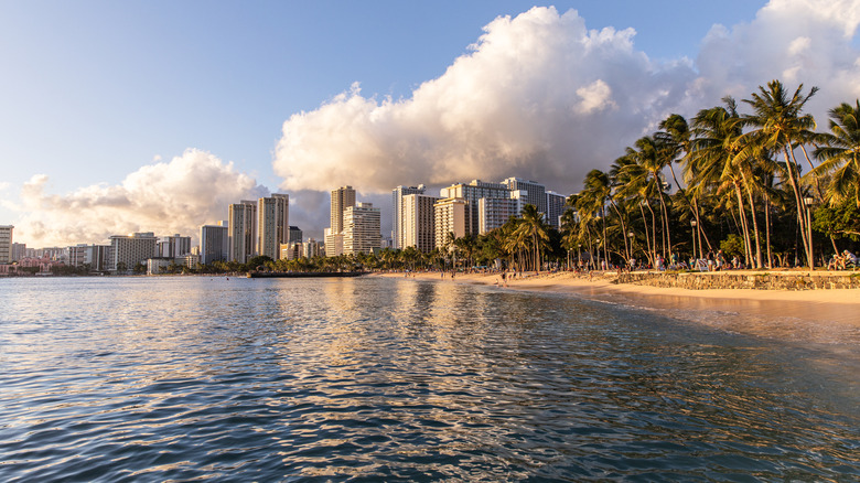 Photo from the ocean showing the shoreline and buildings of Waikiki, with palm trees swaying on the shore.