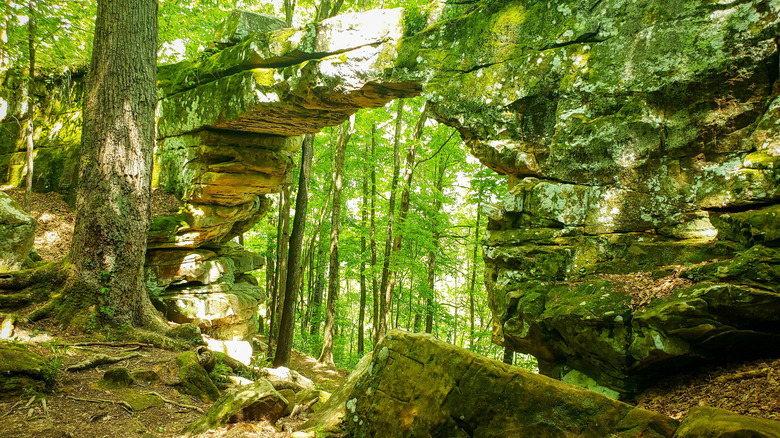 Natural rock arch in Sewanee, Tennessee