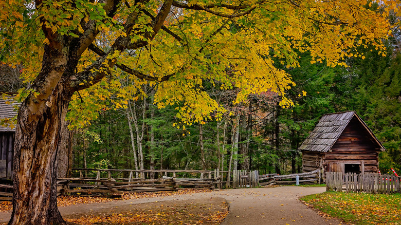 Old cabin in Townsend, Tennessee, during autumn