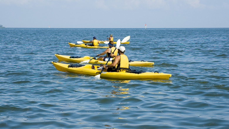 Kayakers near Cedar Key
