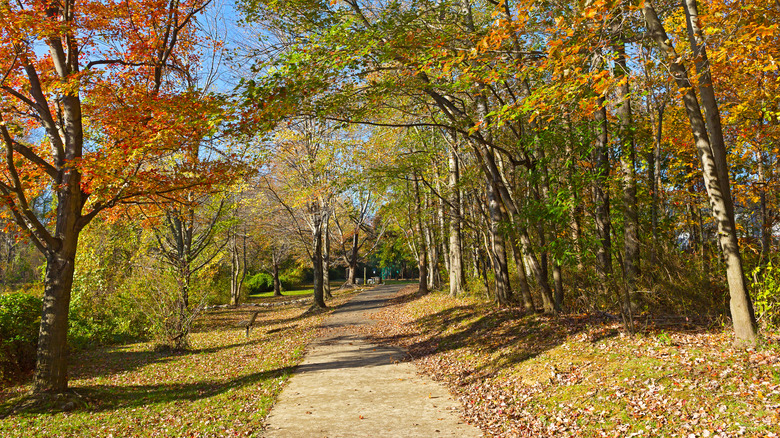 A park in Falls Church, Virginia