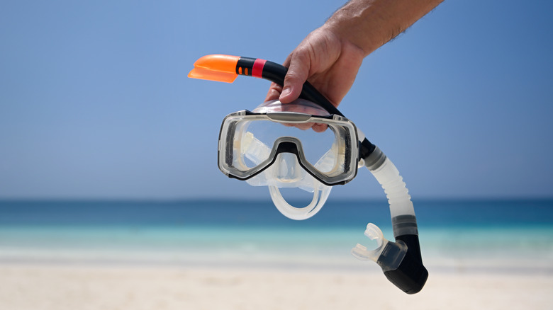 Man holds snorkel and mask