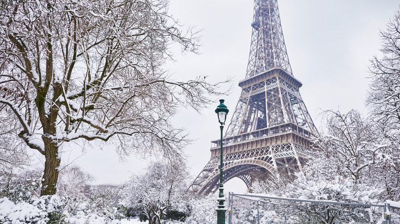 The Eiffel Tower blanketed in snow