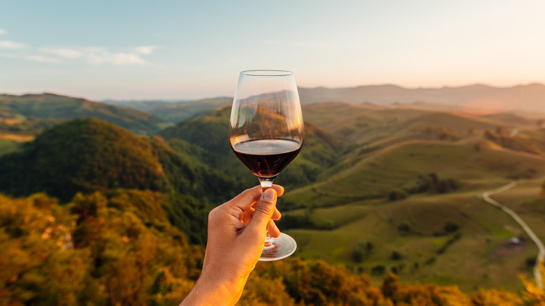 Hand holding wine glass with red wine over picturesque evening scenery