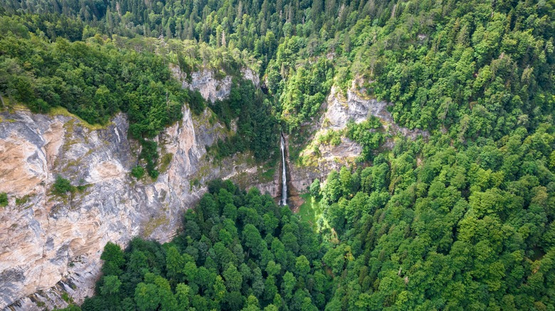 Ariel view of Perućica Rainforest, Bosnia