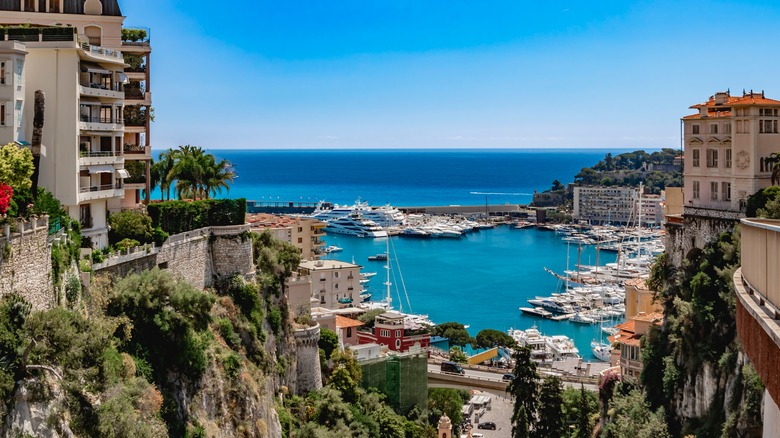 The marina in Monaco