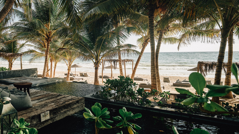 Nomade Tulum's oceanside pool