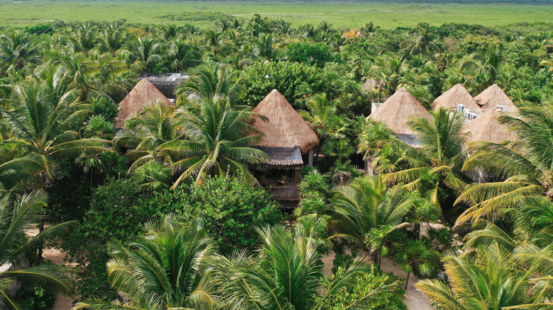 Nomade Tulum hotel in the jungle