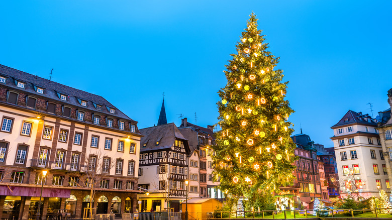 The iconic Christmas tree at Place Kléber