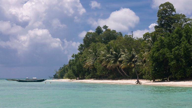 Tropical beach with boat