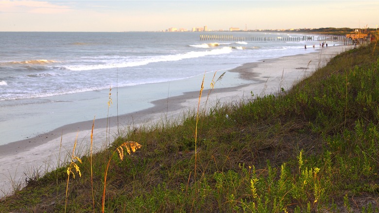 Shoreline of Mayport, Florida, beach