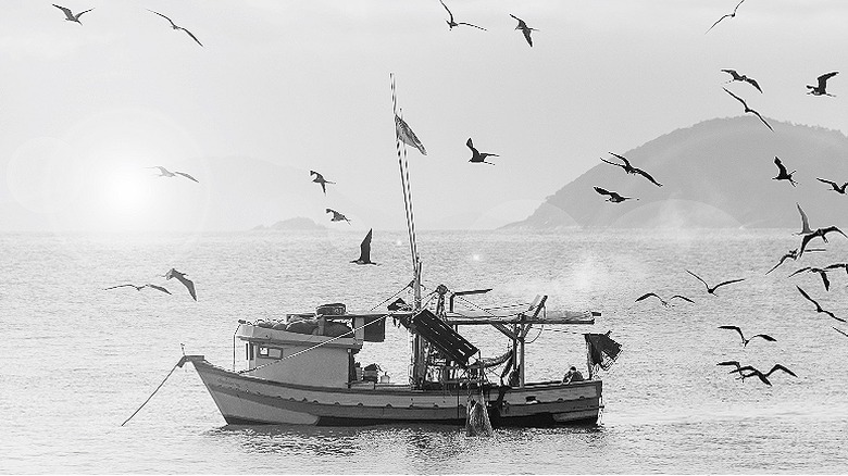 Shrimping boat on the water