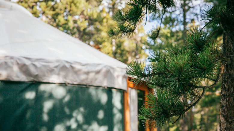 Yurt campsite in Golden Gate Canyon