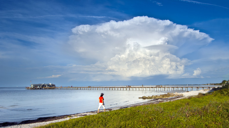 A person walking near City Pier on Anna Maria Island