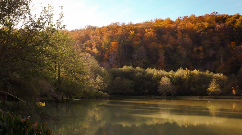 Fall leaves surrounding Lake Oconee