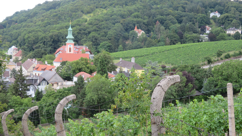 Country landscape with church and vineyards