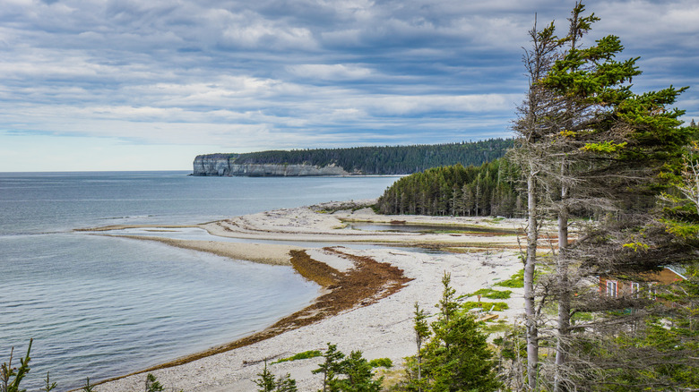 Anticosti Island shoreline on a cloudy day