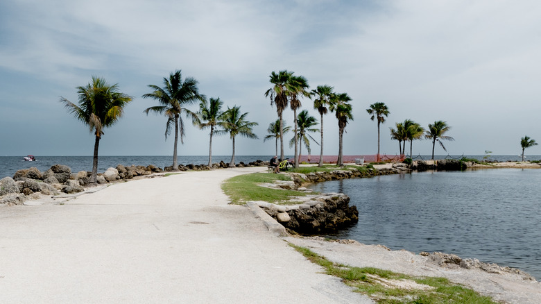 Florida white sand pathway