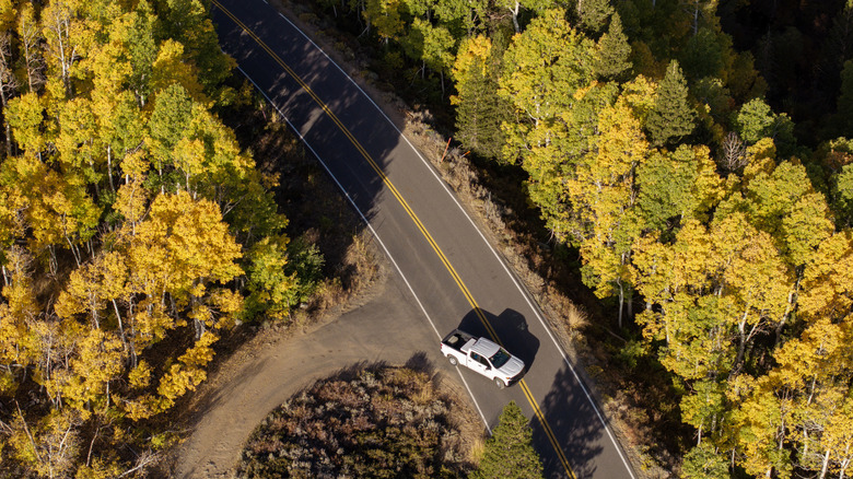 Lee Vining, California, road in the fall