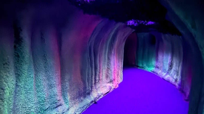 A cavernous hallway with colorful walls at Dreamwalk