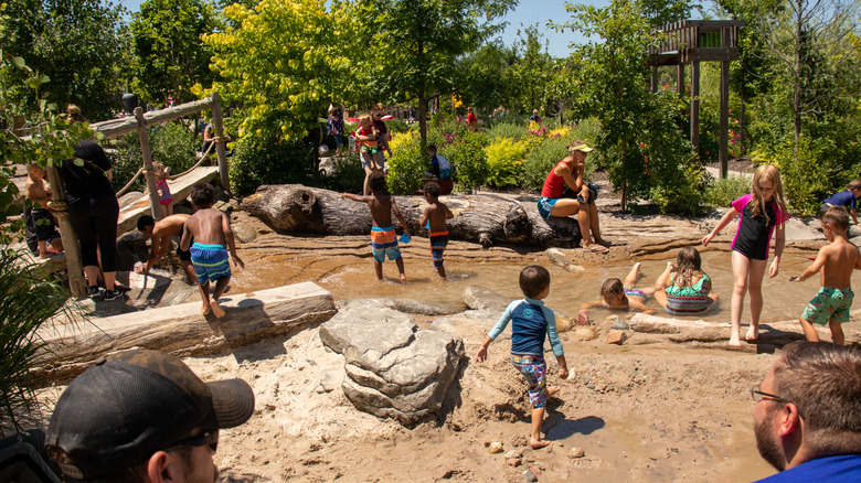 Kids playing at the zoo