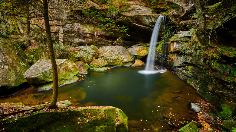 Flat Lick Falls on the Kentucky Wildlands Waterfall Trail