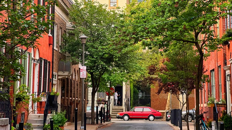 Philadelphia historic street trees