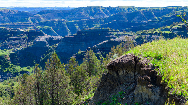 Views from the hikes at Little Missouri State Park