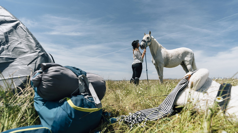 Woman tending to a horse next to her camp setup