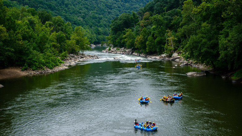 whitewater rafters on new river