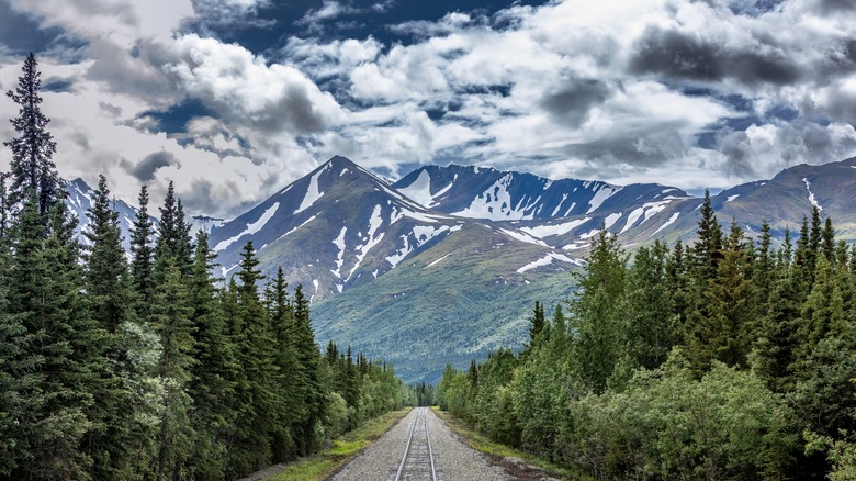 View of Denali National Park and train tracks in Alaska