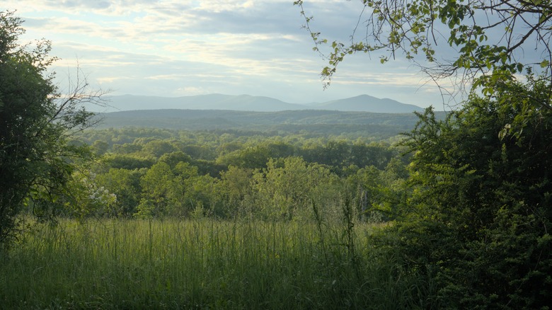 Catskills mountain range