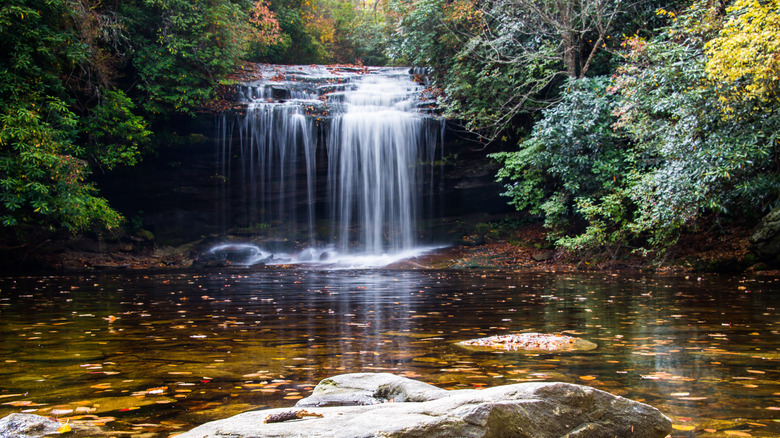 Panthertown Valley's Schoolhouse Falls