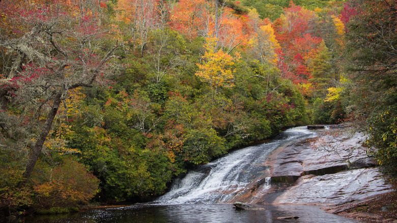 Panthertown Valley fall waterfall landscape