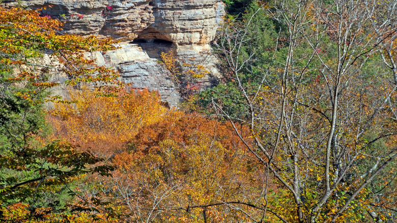 rocky cliffs hocking hills foliage