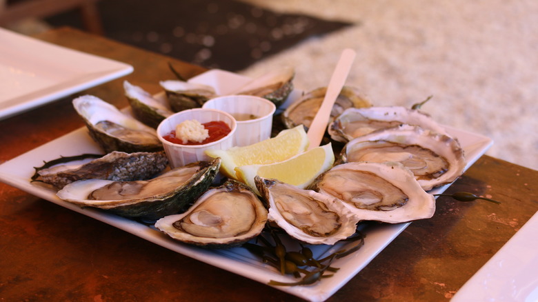 Wellfleet oyster plate