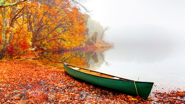 Sandwich fall foliage boat