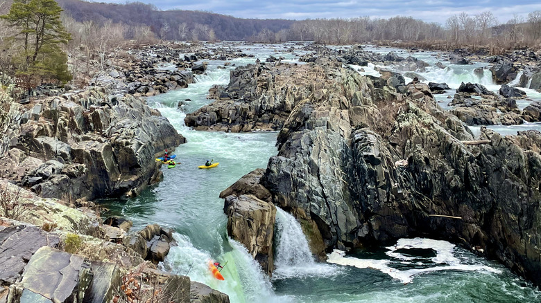 Kayakers on falls