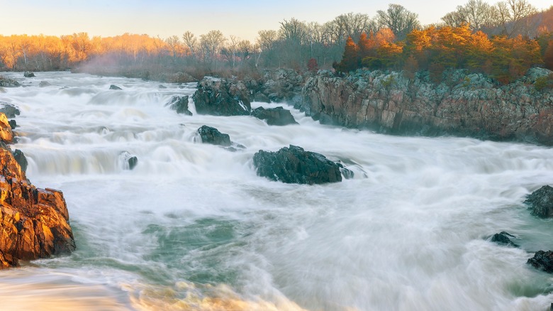 Waterfalls with rocks and trees