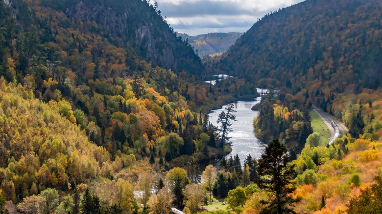 Agawa Canyon Train by a river