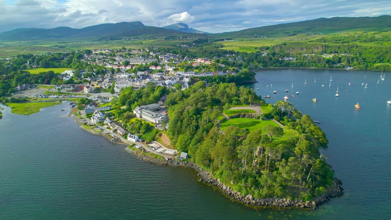 aerial view of lush peninsula