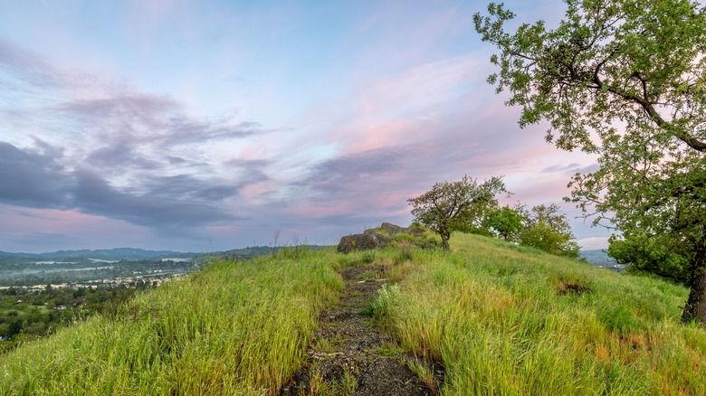 Hiking trail on Mount Diablo