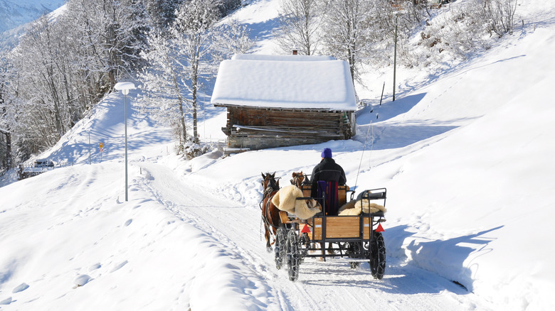 Horse-drawn carriage on a snowy path in Braunwald, Switzerland