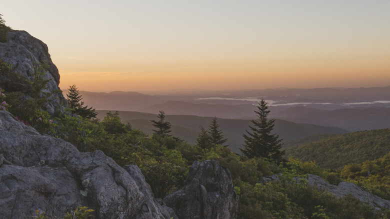 Mount Rogers National Recreation Area at sunrise